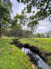 Finca en excelente ubicación  in Canoas, Corredores, Puntarenas — $1,100,000,000 - Photo 4 of 15