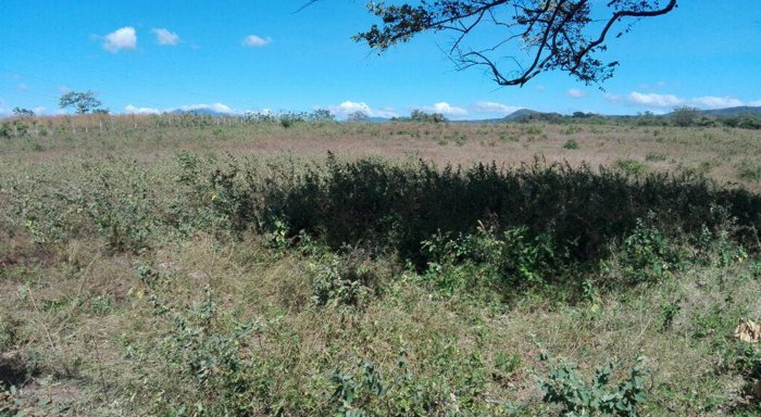 TERRENO 9 HA PARA USO MIXTO CAÑAS en Cañas, Guanacaste — $1,000,000