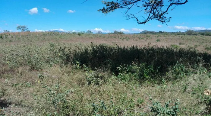 TERRENO 9 HA PARA USO MIXTO CAÑAS en Cañas, Guanacaste — $1,000,000