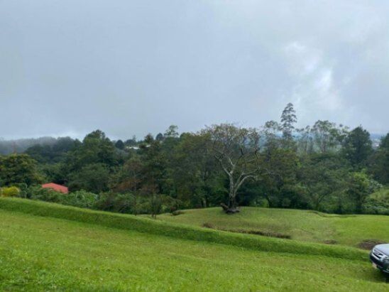 MLS-26-835 LS VENTA LOTE POAS ALAJUELA en San Rafael, Poás, Alajuela — ₡ 72 000 000