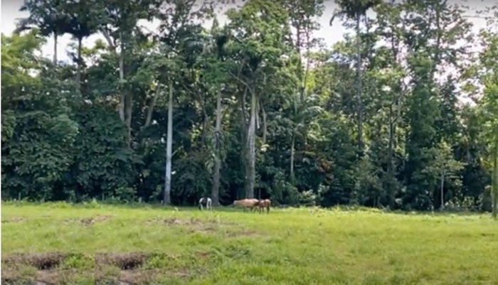 Venta de terreno en Westfalia, Limón en Matama, Limón — $2,000,000 - Foto 2 de 63