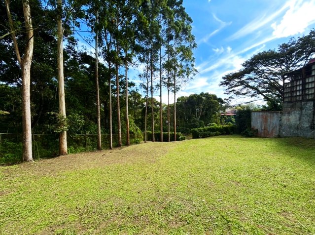 VENTA DE LOTE PLANO, 1.416,67 m², SAN RAMÓN, LA UNIÓN in San Ramón, La Unión, Cartago — $255,500 - Photo 2 of 9