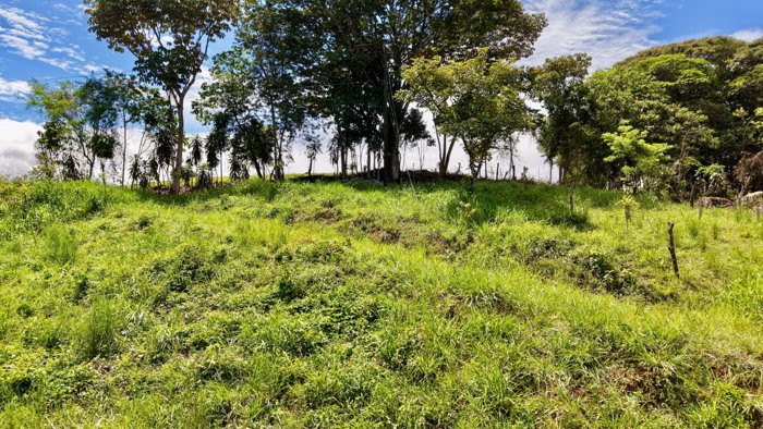 VENTA DE LOTE DE 272 M2 EN TRES RIOS, PEREZ ZELEDON: IDEAL PARA AIRBNB O CABAÑA en Buenos Aires, Puntarenas — $10,000