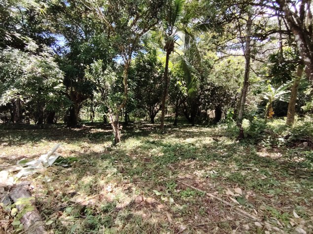 Venta de lote de 1.590 m2 en Buenos Aires, Puntarenas in Buenos Aires, Puntarenas — ₡ 35 000 000 - Photo 3 of 19