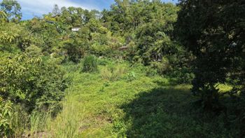SE VENDE TERRENO IDEAL PARA PROYECTO RESIDENCIAL O REFUGIO TURISTICO FRENTE AL RIO en Rivas, Pérez Zeledón, San José — $50,000 - Foto 5 de 10