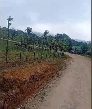 DE OPORTUNIDAD ÚTIL FINCA EN SAN RAMÓN, ALAJUELA.  in Volio, San Ramón, Alajuela — ₡ 286 000 000