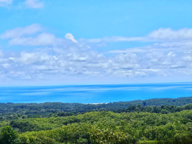 Ocean View Home in Guapinol, Parrita in Parrita, Puntarenas — $549,000 - Photo 2 of 34
