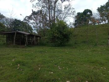 SE VENDE BELLÍSIMA FINCA EN LA VIRGEN DE SARAPIQUÍ.  in La Virgen, Sarapiquí, Heredia — 75 000 000 ₡ - Photo 4 of 11