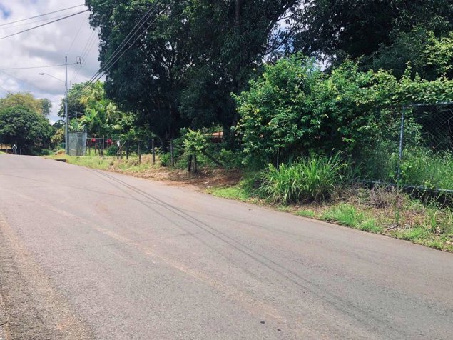 FINCA EN VENTA, TOPOGRAFÍA TOALMENTE PLANA, OROTINA, USO MIXTO in Hacienda Vieja, Orotina, Alajuela — $449,000 - Photo 2 of 14
