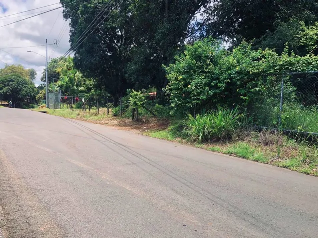 FARM FOR SALE, COMPLETELY FLAT TOPOGRAPHY, OROTINA, MIXED USE in Hacienda Vieja, Orotina, Alajuela — $449,000 - Photo 2 of 14