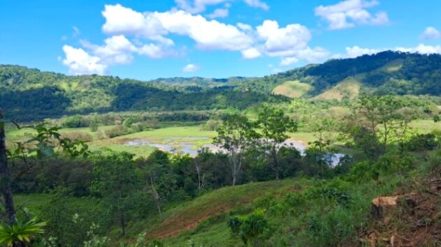 Propiedad en venta pavones  en Pavón, Golfito, Puntarenas — ₡ 750 000 000