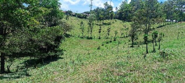 "¡Oferta Única! La propiedad de Tus Sueños a Precio de Ganga" en Sabalito, Coto Brus, Puntarenas — ₡ 30 000 000