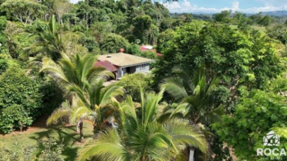 Se vende linda propiedad en San Pedro de Pérez Zeledón  en San Pedro, Pérez Zeledón, San José — ₡ 65 000 000