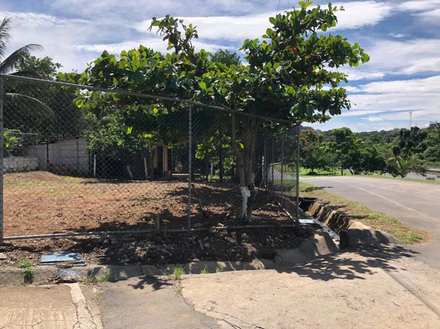 Venta de muy buen lote de 300 m2 en Balsa de Atenas in Atenas, Alajuela — ₡ 20 000 000