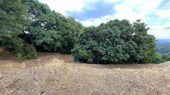 Lot for Sale in Atenas –  Spectacular Views in San José, Atenas, Alajuela — $65,000 - Photo 4 of 10