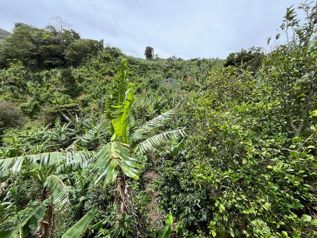 Venta de Lote en Desamparados-San Cristóbal Norte, San José. RAH 27-350 en San Cristóbal, Desamparados, San José — 40 000 000 ₡ - Foto 4 de 10