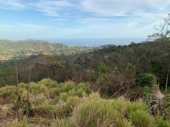 LOTE EN VENTA EN GUANACASTE in Puerto Carrillo, Hojancha, Guanacaste — $459,000 - Photo 4 of 5
