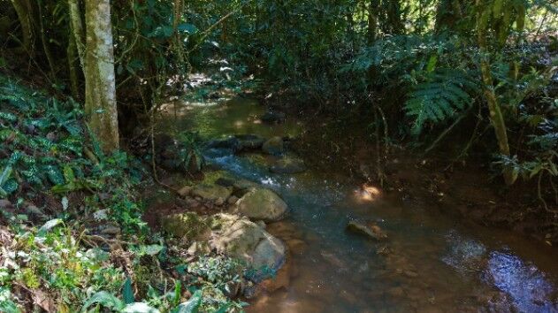 SE VENDE LOTE PLANO EN ZONA TRANQUILA Y DE FACIL ACCESO en Cajón, Pérez Zeledón, San José — $16,000