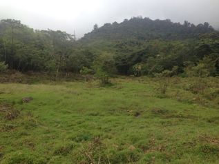 Finca de 28 ha, Valle de OROSI, Cartago en Orosi, Paraíso, Cartago — $850,000 - Foto 2 de 5