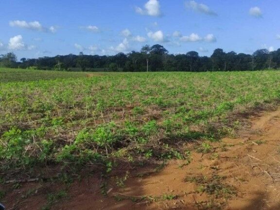 Venta de finca agrícola en Sarapiquí,  Heredia. RAH 26-1033  in Cureña, Sarapiquí, Heredia — $624,000