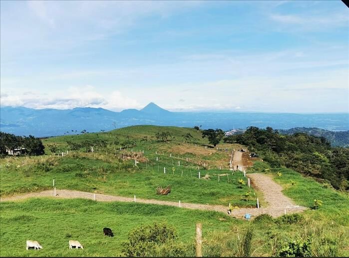 VENTA DE LOTES RESIDENCIALES, ALAJUELA, SAN CARLOS, CIUDAD QUESADA en Quesada, San Carlos, Alajuela — ₡ 39 000 000