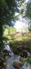 Se vende o se cambia  en La Tigra, San Carlos, Alajuela — 49 000 000 ₡ - Foto 5 de 7