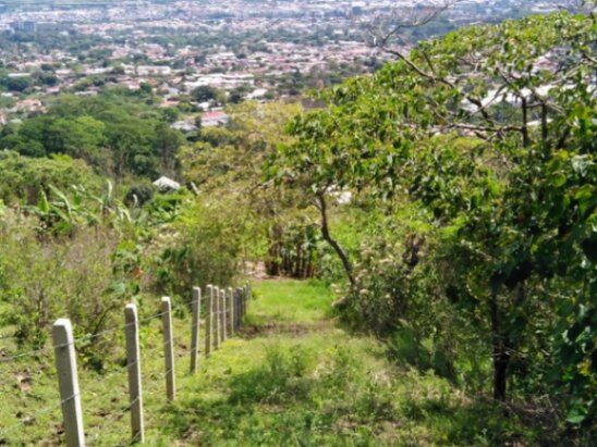 Se vende amplio lote de 8,400m2 en San Antonio Escazú 23-1473 en San Antonio, Escazú, San José — ₡ 416 500 000