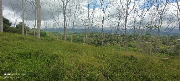 ¿Quieres vivir rodeado de naturaleza y con todas las comodidades al alcance?  in San Isidro De El General, Pérez Zeledón, San José — ₡ 59 000 000
