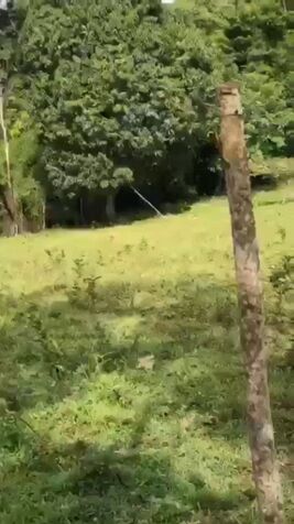SE VENDE BELLA PROPIEDAD EN EL AMPARO DE LOS CHILES DE ALAJUELA.  in El Amparo, Los Chiles, Alajuela — ₡ 45 000 000