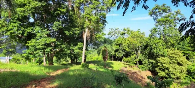 QUINTA CON HERMOSA VISTA A CALDERA en Barranca, Puntarenas — ₡ 150 000 000
