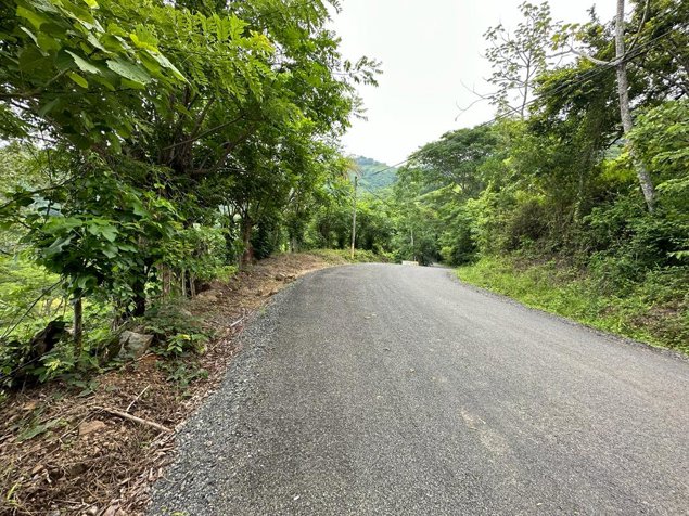 Propiedad de 117,454m2 ideal para finca en Atenas, Alajuela — $390,000 - Foto 3 de 4