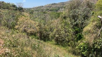 Lote con vistas hacia el pacifico ubicada 5 minutos de la pista 27 en Atenas, Alajuela — $80,000 - Foto 4 de 9