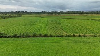 Quintas de 5,000m2 Financiadas directamente a solo 18min de Fortuna en La Fortuna, San Carlos, Alajuela — 33 000 000 ₡ - Foto 3 de 5