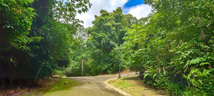 VENTA DE TERRENO EN COSTA ESTERILLOS ESTATES en Parrita, Puntarenas — $57,000 - Foto 2 de 6