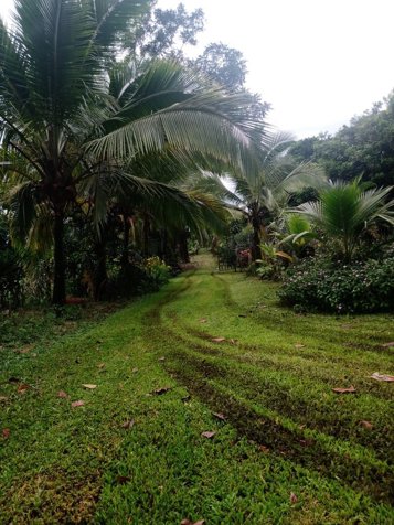 Venta de hermoso terreno con casa en Siquirres, Limón — ₡ 80 000 000