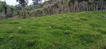 Lote en Venta Santa Rosa, Turrialba, Cartago