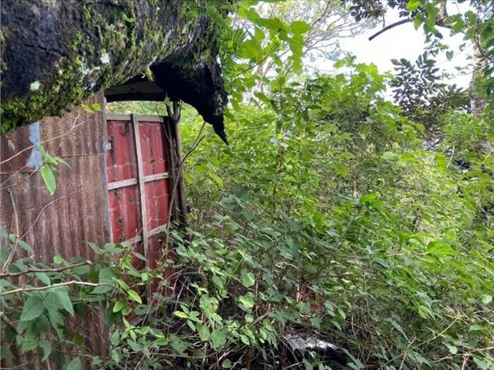 VENTA DE LOTE, PUNTARENAS, MONTEVERDE, SANTA ELENA en Monte Verde, Puntarenas — $70,000