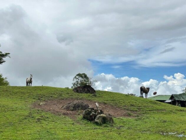 (106HECT)DE RIQUEZA NATURAL Y VISTAS IMCOMPARABLES, EN PZ. en San Isidro De El General, Pérez Zeledón, San José — $600,000