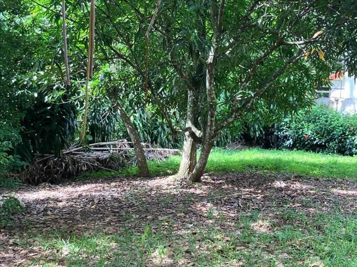 SE VENDE BELLEZA DE LOTE EN SABANA LARGA DE ATENAS. en Atenas, Alajuela — ₡ 36 000 000