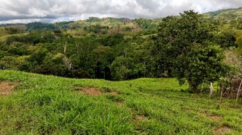 VENTA DE FINCA DE 4.9 HA EN ALTO ESPERANZAS, PEREZ ZELEDON: PRIVACIDAD Y ARBOLES FRUTALES en San Pedro, Pérez Zeledón, San José — $199,900 - Foto 4 de 22