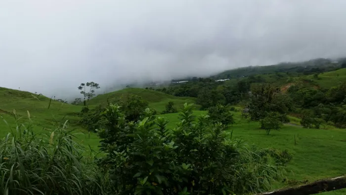 Finca de 100 Ha en Quepos in Quepos, Puntarenas — $8,500,000 - Photo 2 of 11