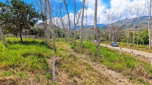 SE VENDE LOTE PREMIUM CON AREA PLANA Y QUEBRADA EN SANTA ROSA en Río Nuevo, Pérez Zeledón, San José — $55,999