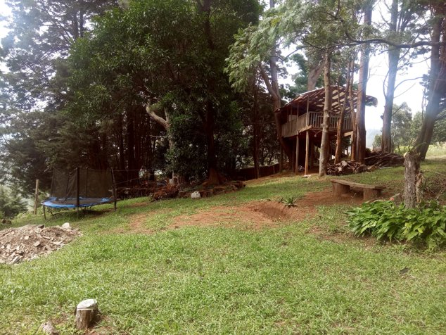 Venta de finca uso de suelo mixto en Naranjo in Naranjo, Alajuela — $498,680 - Photo 3 of 15