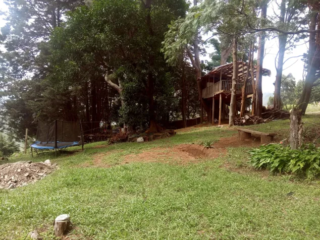 Venta de finca uso de suelo mixto en Naranjo en Naranjo, Alajuela — $498,680 - Foto 3 de 15