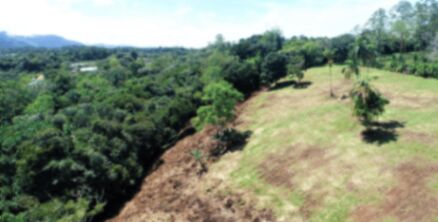 1.4 hectares con vista y cerca de Alta Gracia, Perez Zeledon. in Cajón, Pérez Zeledón, San José — $230,000