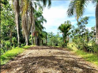 SE VENDE QUINTA EN MIRAVALLES CON HERMOSAS VISTAS Y PLANTEL LISTO PARA CONSTRUIR en El General, Pérez Zeledón, San José — $145,500 - Foto 4 de 6
