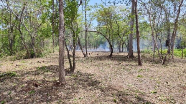 Playa Avellanas - Carretera Principal en Tamarindo, Santa Cruz, Guanacaste — $200,000