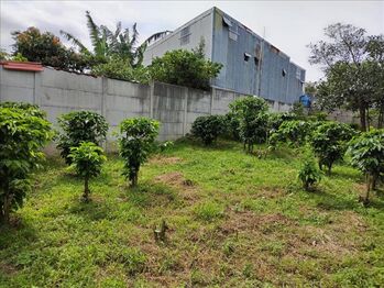 Lote en Venta Santo Tomás, Santo Domingo, Heredia