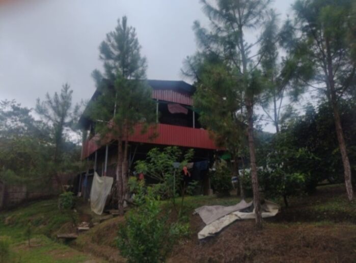 BELLA PROPIEDAD CON 2 CASAS EN SAN RAMÓN.  en Piedades Norte, San Ramón, Alajuela — ₡ 60 000 000