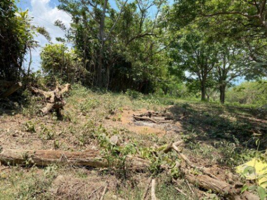 Se vende lote de 8,100m2 con uso mixto en Turrucareas Alajuela 23-3177 in Turrúcares, Alajuela — $450,000
